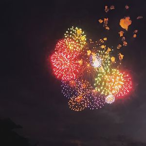 欧美成人无码A片免费
