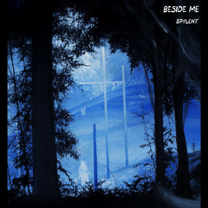 欧美成人无码A片免费
