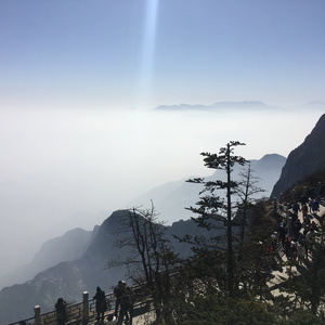 欧美成人无码A片免费
