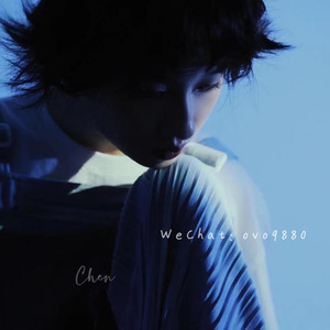 欧美成人无码A片免费
