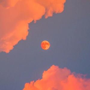 欧美成人无码A片免费
