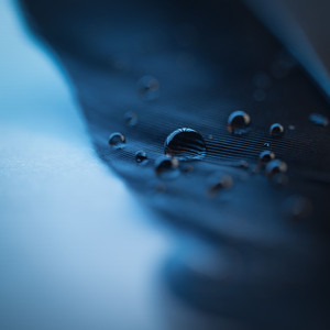 欧美成人无码A片免费
